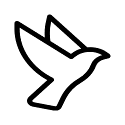 EINSSEIN